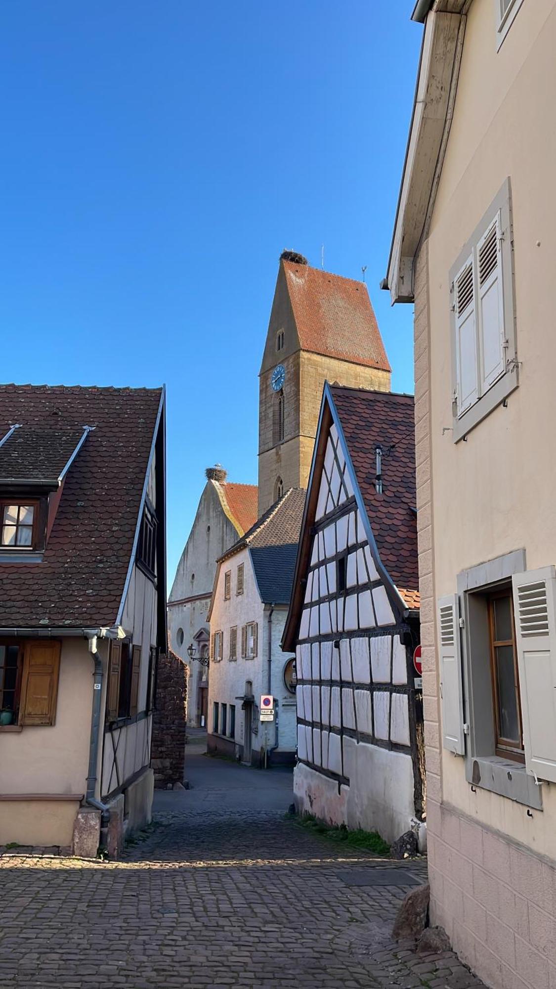 Appartement Le Ch'Ti Alsacien Eguisheim Kültér fotó