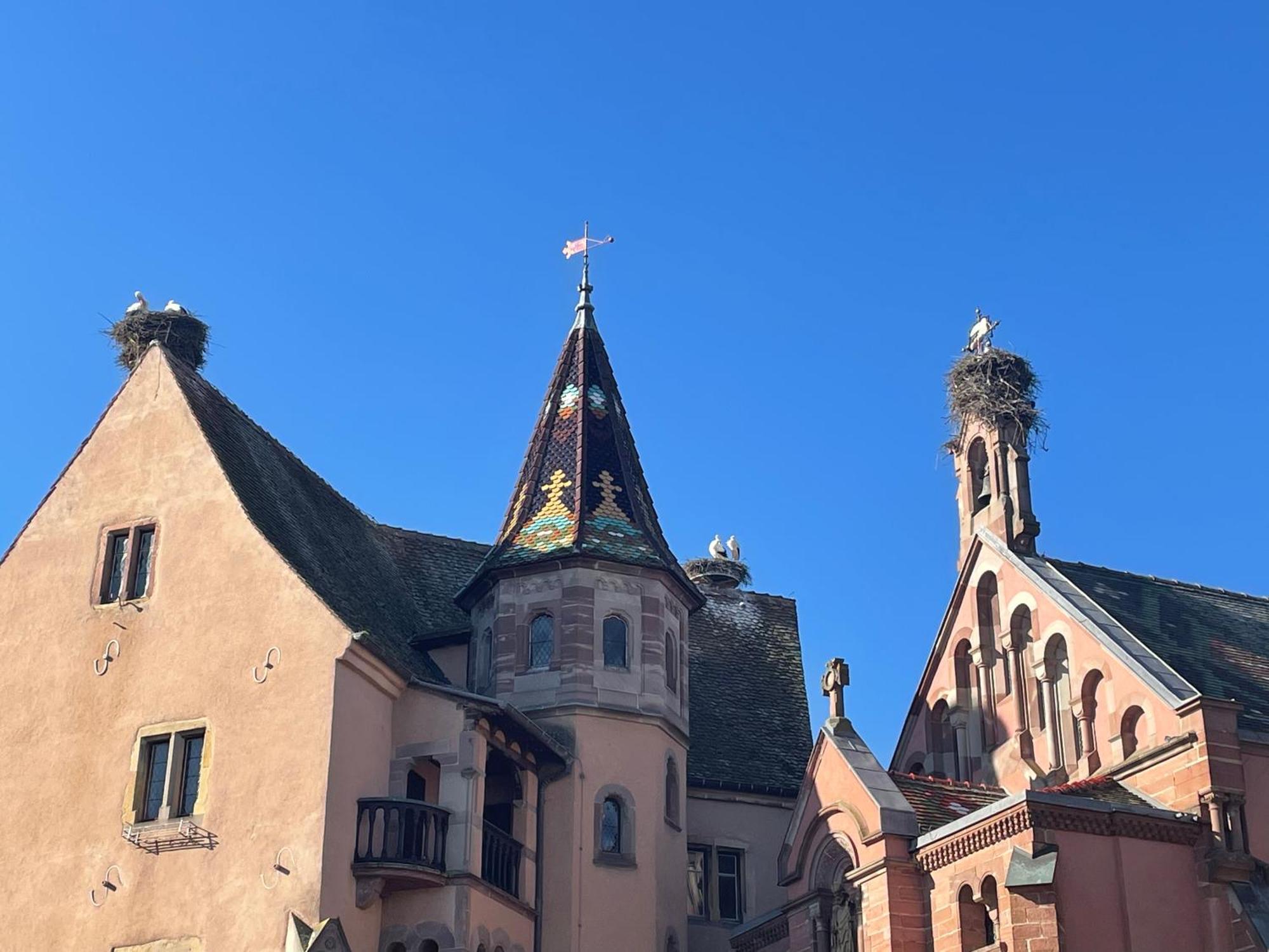 Appartement Le Ch'Ti Alsacien Eguisheim Kültér fotó